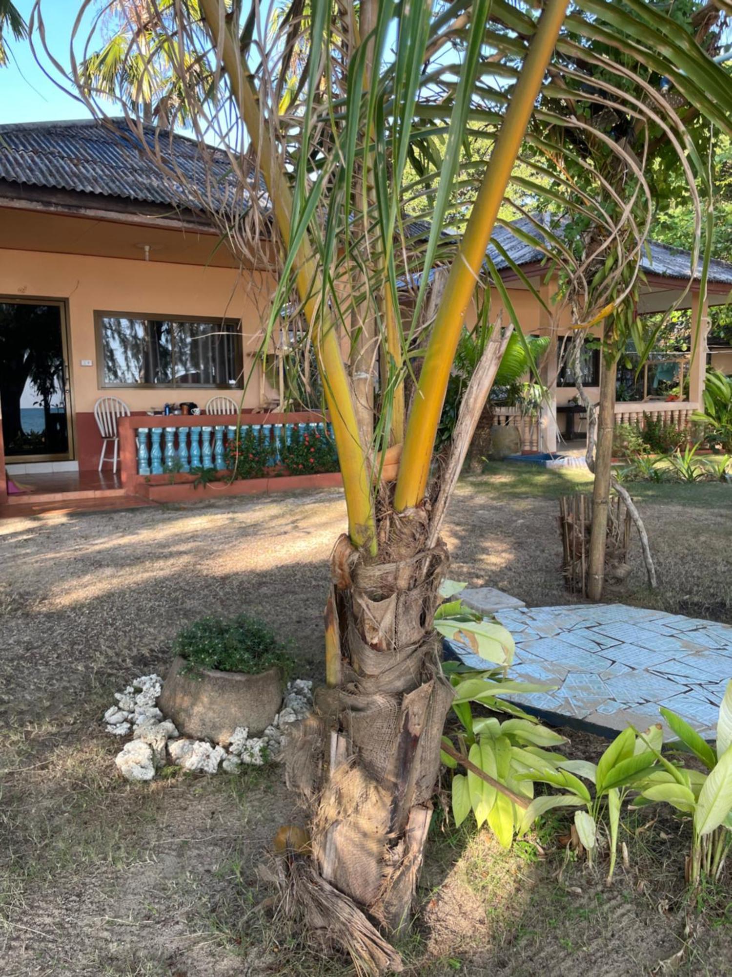 Baanyaiguesthouse Koh Mak Εξωτερικό φωτογραφία