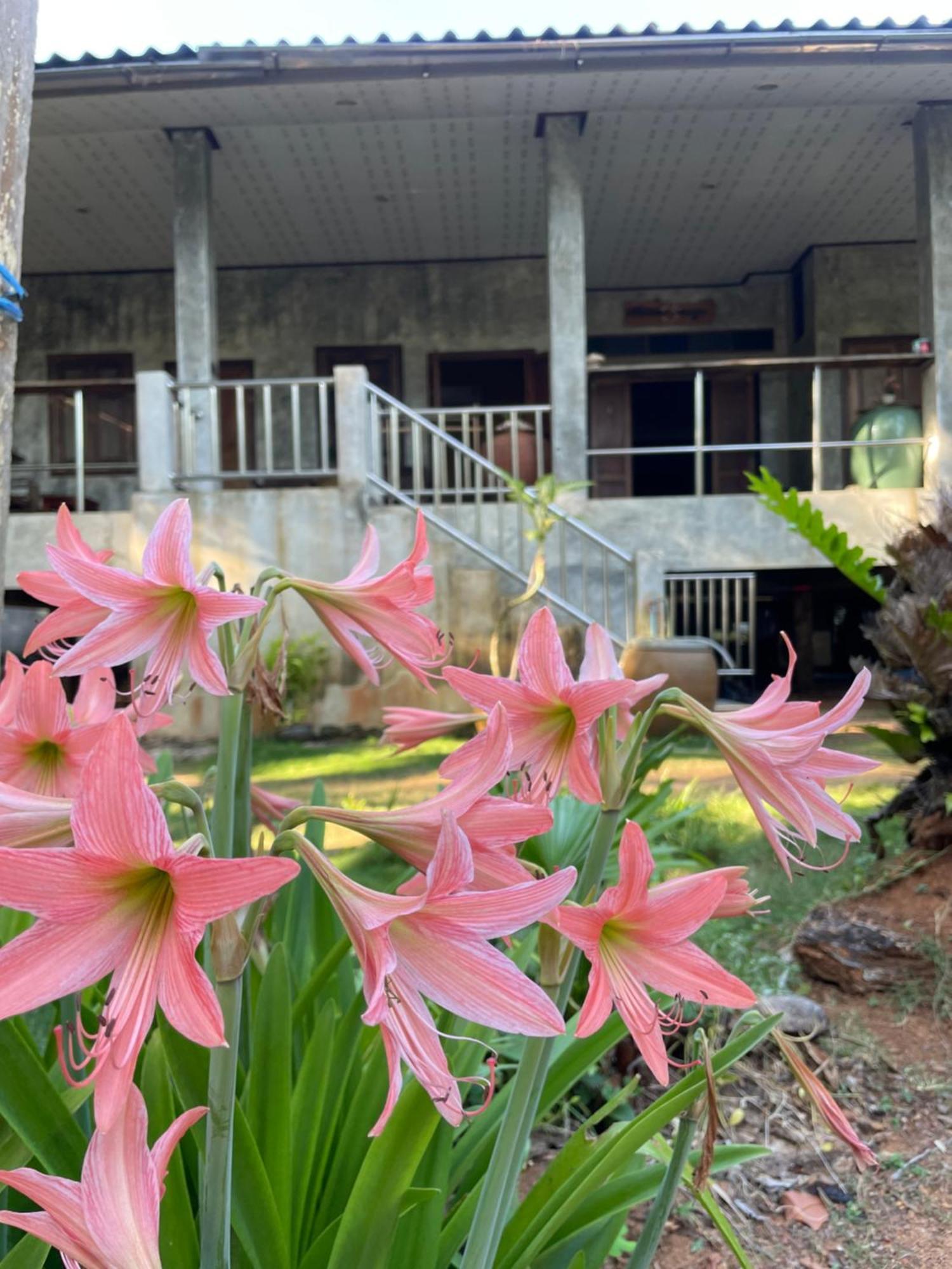 Baanyaiguesthouse Koh Mak Εξωτερικό φωτογραφία