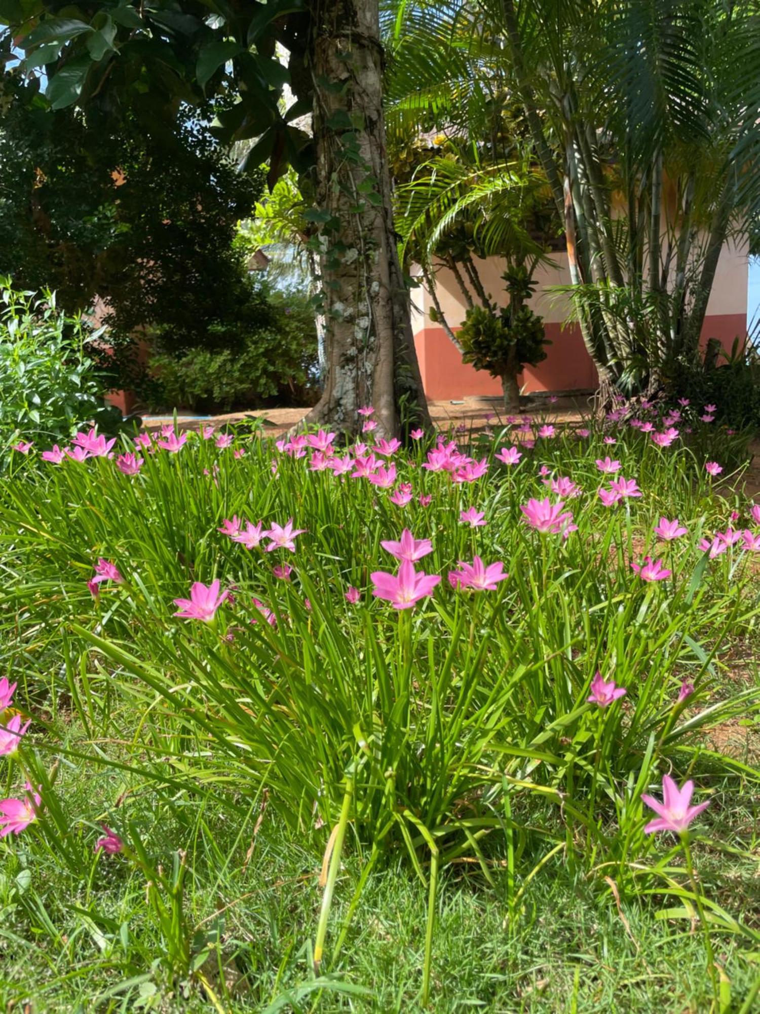 Baanyaiguesthouse Koh Mak Εξωτερικό φωτογραφία